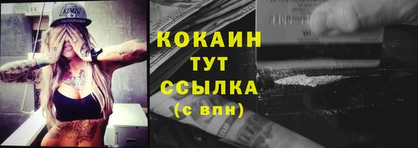 стаф Аркадак