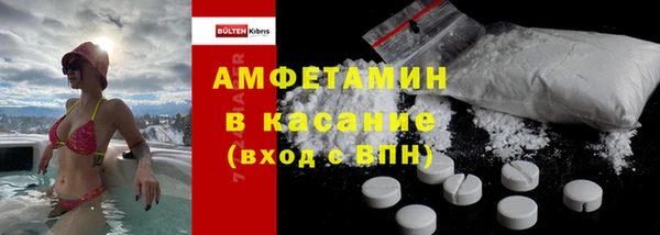 стаф Аркадак