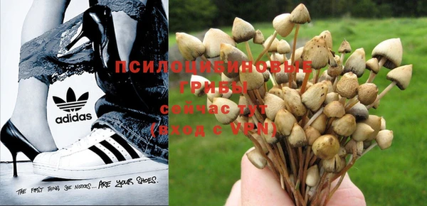 не бодяженный Медвежьегорск