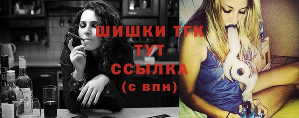 стаф Аркадак