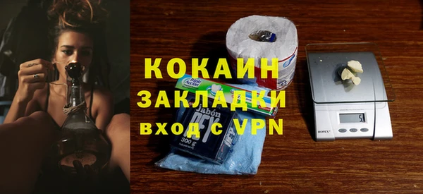стаф Аркадак