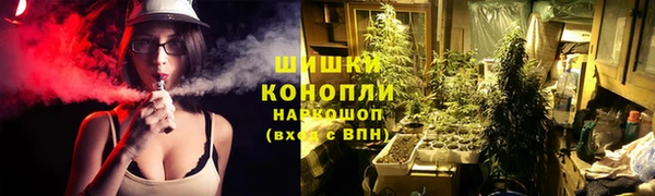 стаф Аркадак