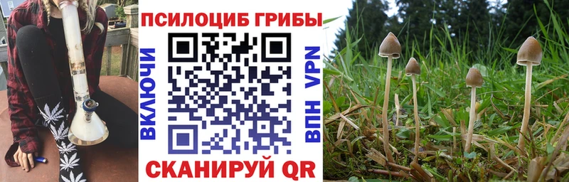 Псилоцибиновые грибы MAGIC MUSHROOMS  Купить закладки  Ишим 